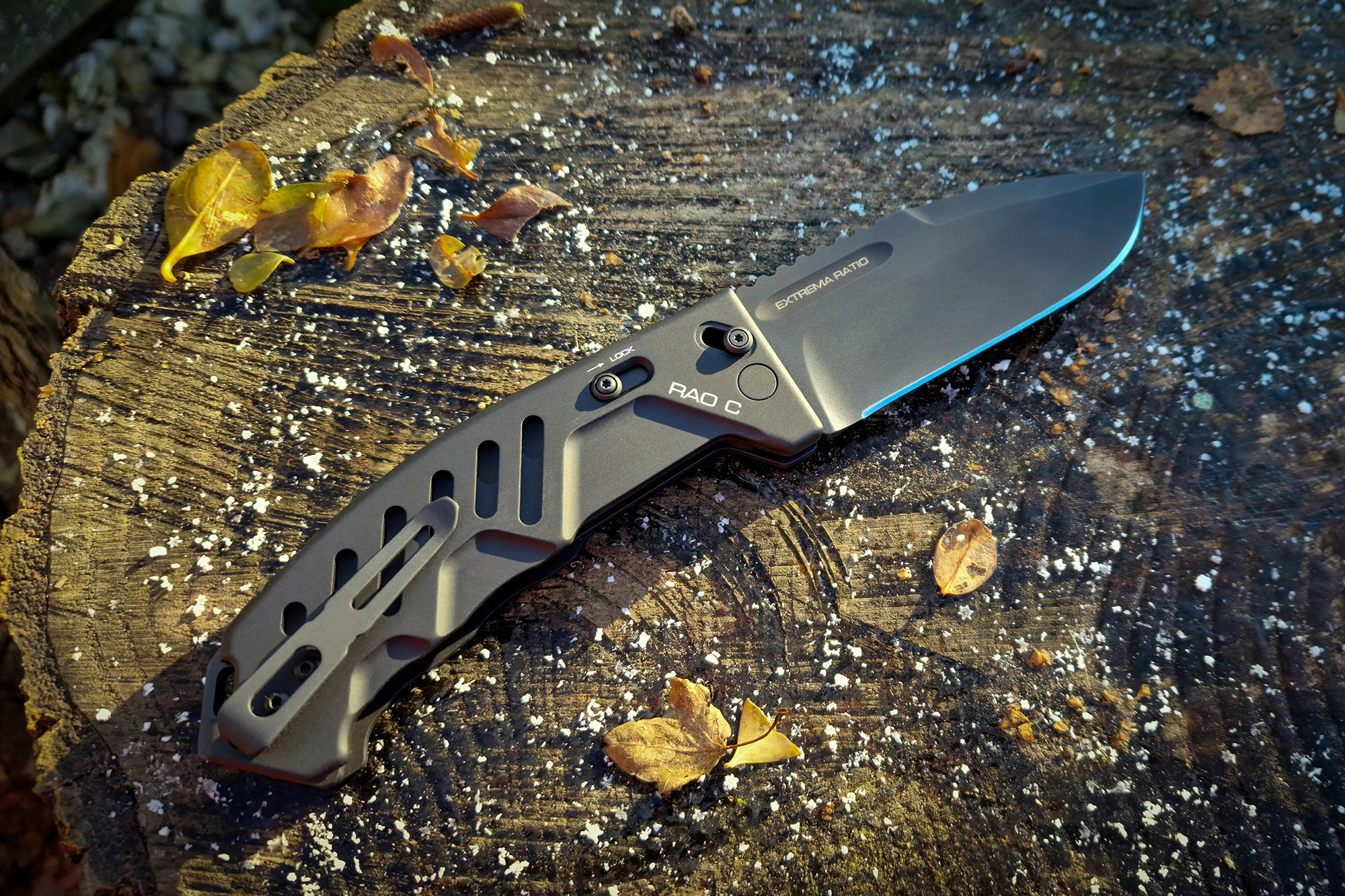 RAO_C_BLACK_2