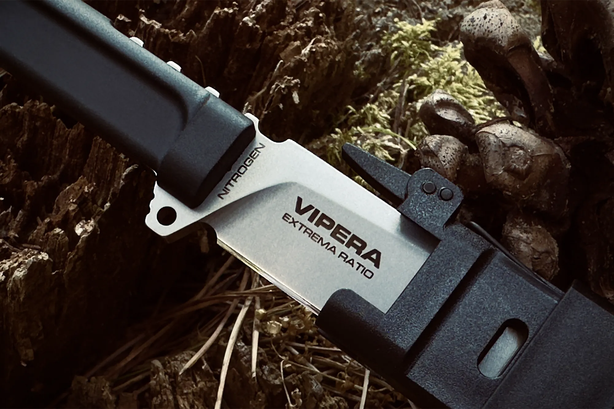 Vipera-Black-11.webp