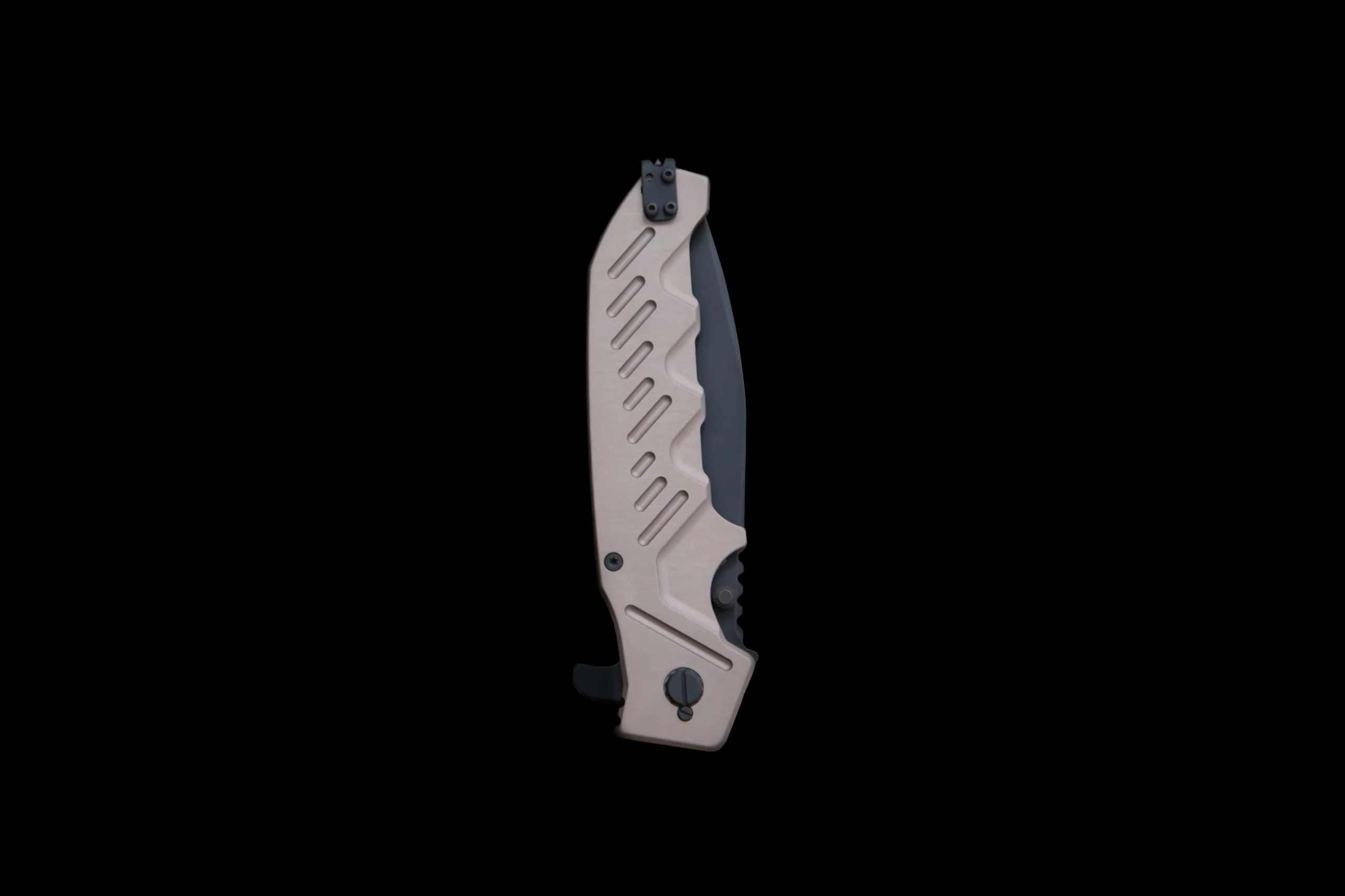 extrema-ratio-glauca-g1_-6-copia-2-scaled-1.webp